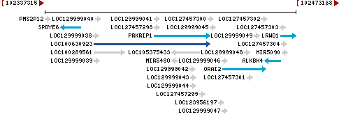 Genomic Context describing neighboring genes