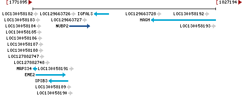 Genomic Context describing neighboring genes