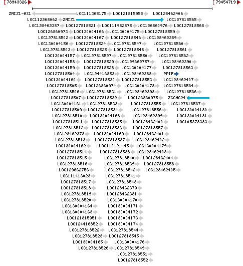 Genomic Context describing neighboring genes