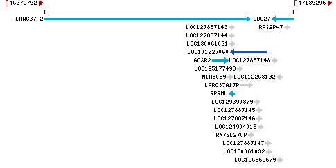 Genomic Context describing neighboring genes