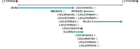 Genomic Context describing neighboring genes