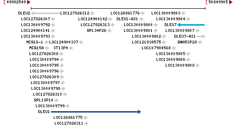 Genomic Context describing neighboring genes