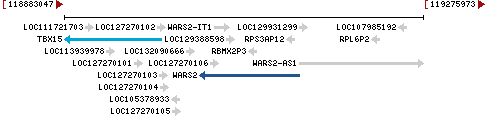 Genomic Context describing neighboring genes