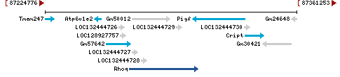 Genomic Context describing neighboring genes