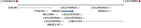 Genomic Context describing neighboring genes