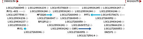 Genomic Context describing neighboring genes