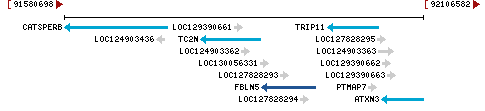 Genomic Context describing neighboring genes