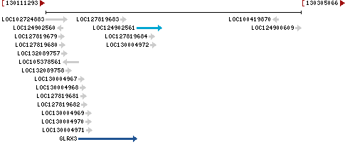 Genomic Context describing neighboring genes