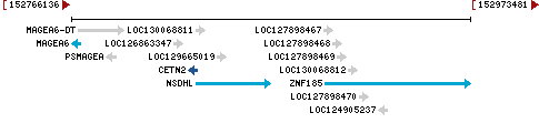 Genomic Context describing neighboring genes