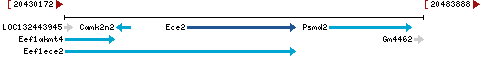 Genomic Context describing neighboring genes