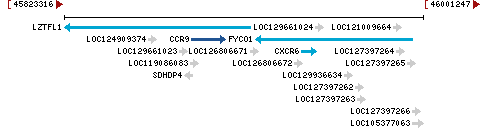 Genomic Context describing neighboring genes