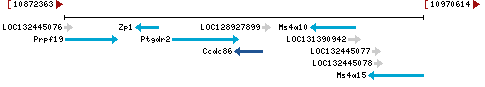 Genomic Context describing neighboring genes