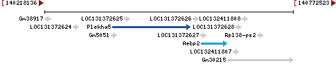 Genomic Context describing neighboring genes