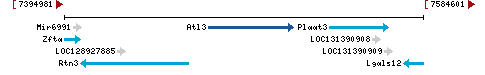 Genomic Context describing neighboring genes