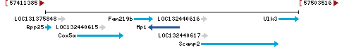 Genomic Context describing neighboring genes