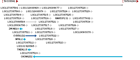 Genomic Context describing neighboring genes