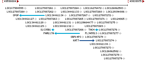 Genomic Context describing neighboring genes