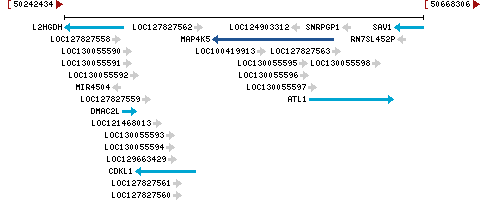 Genomic Context describing neighboring genes