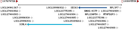 Genomic Context describing neighboring genes