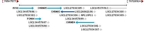 Genomic Context describing neighboring genes