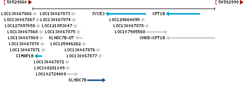 Genomic Context describing neighboring genes