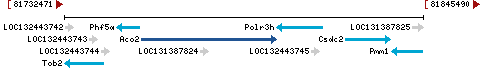 Genomic Context describing neighboring genes