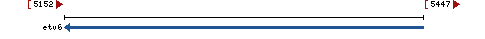 Genomic Context describing neighboring genes