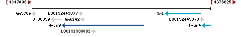 Genomic Context describing neighboring genes