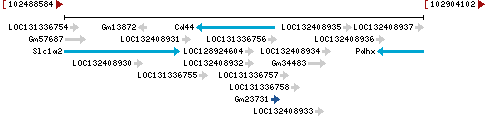 Genomic Context describing neighboring genes