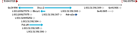 Genomic Context describing neighboring genes