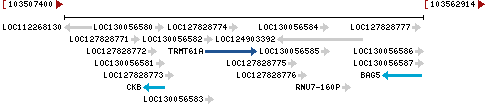 Genomic Context describing neighboring genes