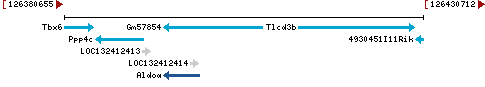 Genomic Context describing neighboring genes