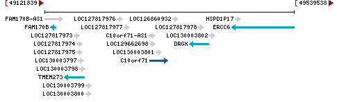 Genomic Context describing neighboring genes