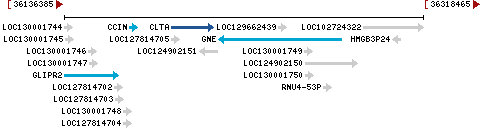 Genomic Context describing neighboring genes