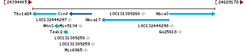 Genomic Context describing neighboring genes