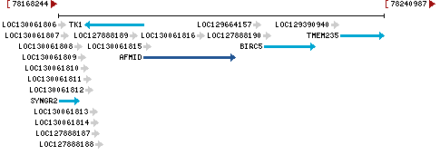 Genomic Context describing neighboring genes