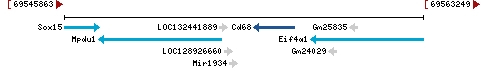 Genomic Context describing neighboring genes