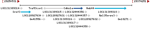 Genomic Context describing neighboring genes