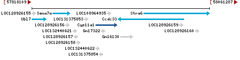 Genomic Context describing neighboring genes