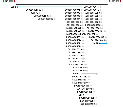 Genomic Context describing neighboring genes