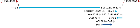 Genomic Context describing neighboring genes