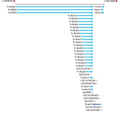 Genomic Context describing neighboring genes