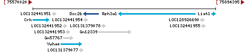 Genomic Context describing neighboring genes