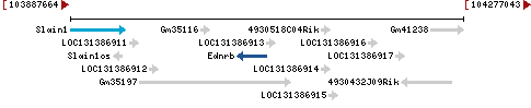 Genomic Context describing neighboring genes