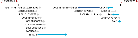 Genomic Context describing neighboring genes