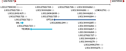 Genomic Context describing neighboring genes