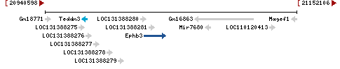 Genomic Context describing neighboring genes