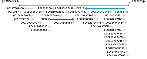 Genomic Context describing neighboring genes