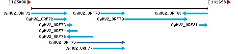 Genomic Context describing neighboring genes