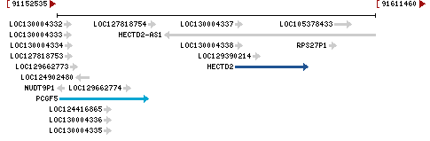 Genomic Context describing neighboring genes